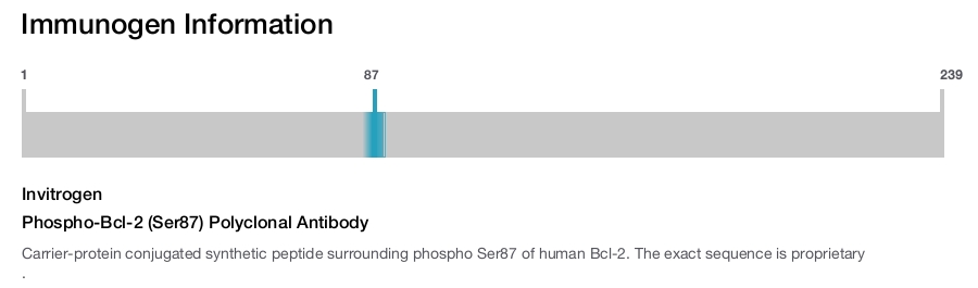Phospho-Bcl-2 (Ser87) Polyclonal Antibody