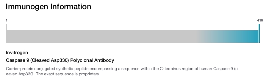 Caspase 9 (Cleaved Asp330) Polyclonal Antibody