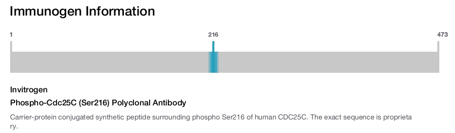 Phospho-Cdc25C (Ser216) Polyclonal Antibody
