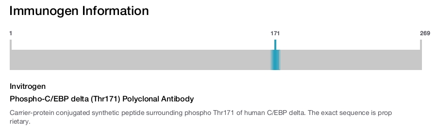 Phospho-C/EBP delta (Thr171) Polyclonal Antibody