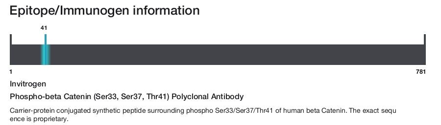 Phospho-beta Catenin (Ser33, Ser37, Thr41) Polyclonal Antibody
