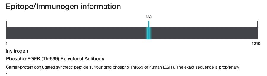 Phospho-EGFR (Thr669) Polyclonal Antibody