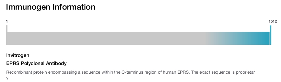 EPRS Polyclonal Antibody