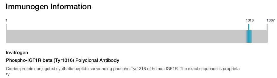 Phospho-IGF1R beta (Tyr1316) Polyclonal Antibody