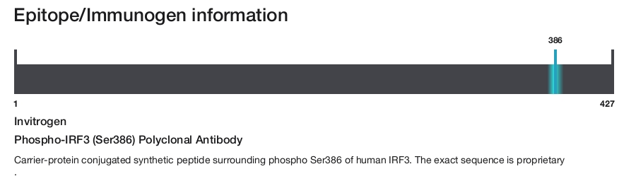 Phospho-IRF3 (Ser386) Polyclonal Antibody