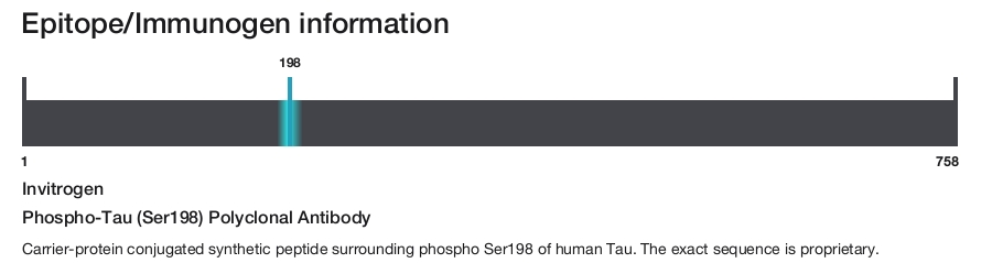 Phospho-Tau (Ser198) Polyclonal Antibody