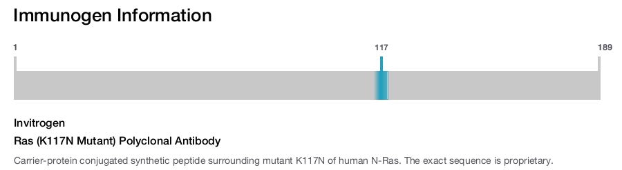 Ras (K117N Mutant) Polyclonal Antibody