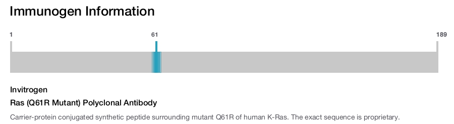 Ras (Q61R Mutant) Polyclonal Antibody