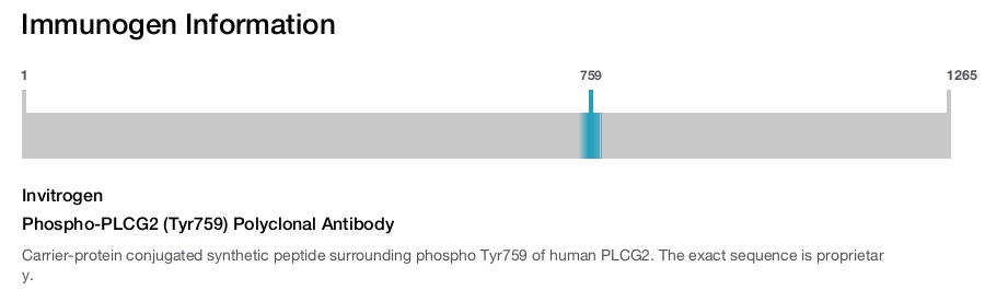 Phospho-PLCG2 (Tyr759) Polyclonal Antibody