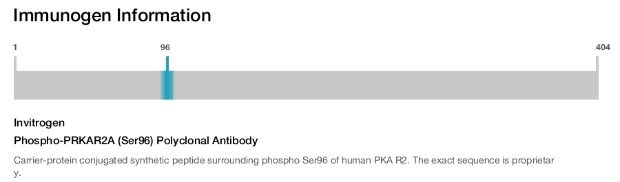 Phospho-PRKAR2A (Ser96) Polyclonal Antibody