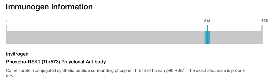 Phospho-RSK1 (Thr573) Polyclonal Antibody
