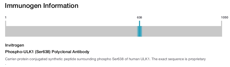 Phospho-ULK1 (Ser638) Polyclonal Antibody