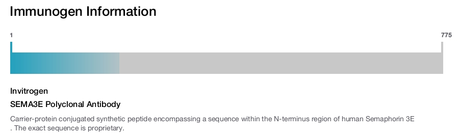 SEMA3E Polyclonal Antibody
