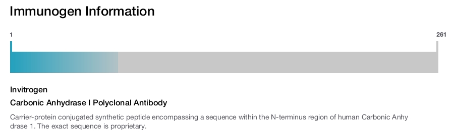 Carbonic Anhydrase I Polyclonal Antibody