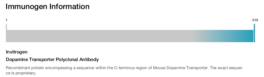 Dopamine Transporter Polyclonal Antibody