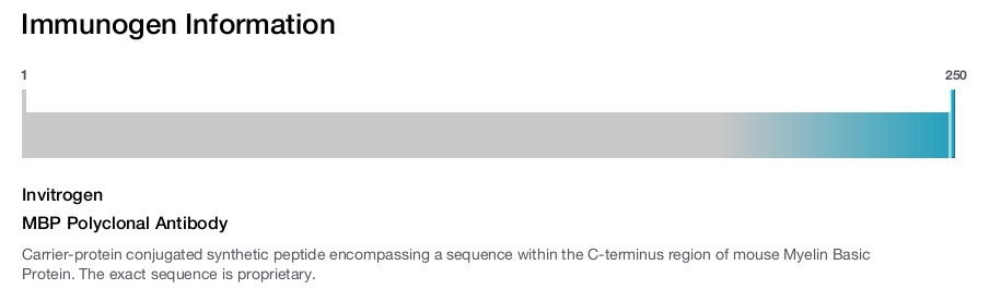 MBP Polyclonal Antibody
