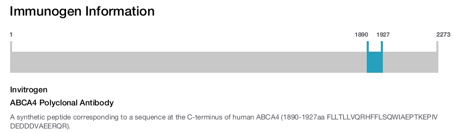 ABCA4 Polyclonal Antibody