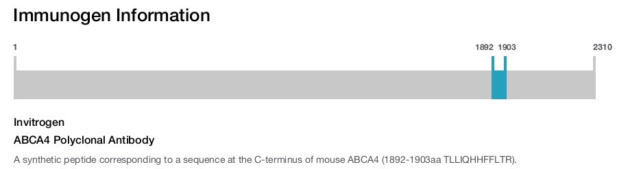 ABCA4 Polyclonal Antibody