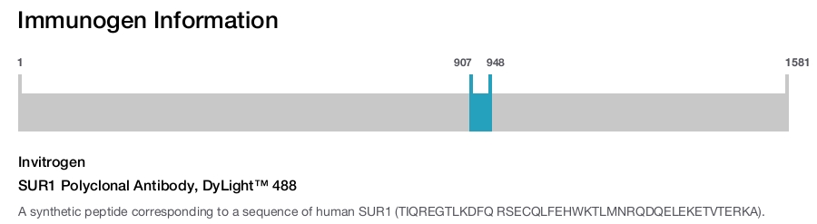 SUR1 Polyclonal Antibody, DyLight™ 488