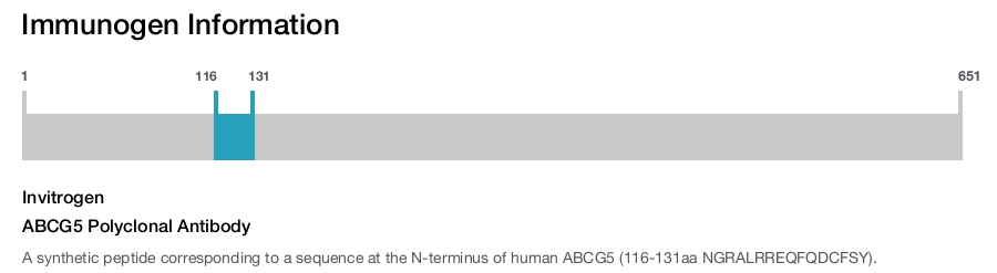 ABCG5 Polyclonal Antibody