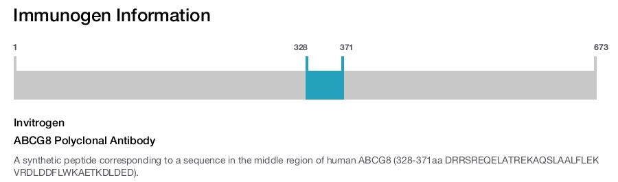 ABCG8 Polyclonal Antibody