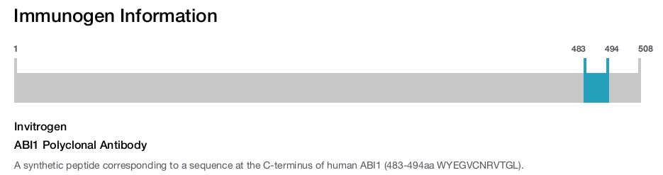 ABI1 Polyclonal Antibody