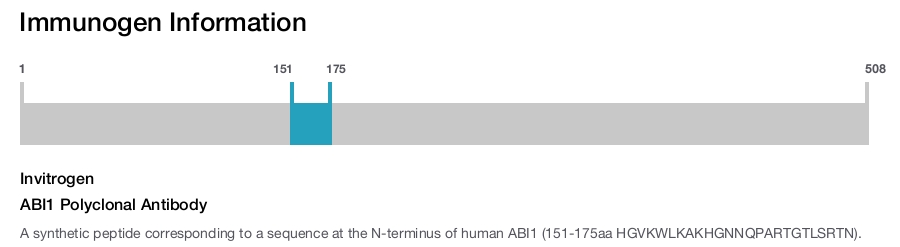 ABI1 Polyclonal Antibody