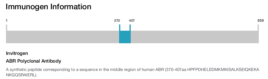 ABR Polyclonal Antibody