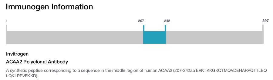 ACAA2 Polyclonal Antibody