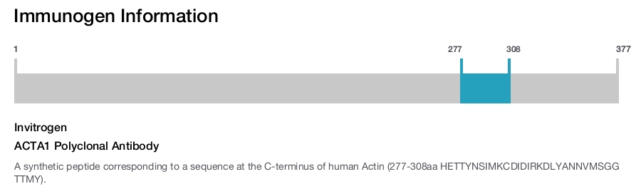 ACTA1 Polyclonal Antibody