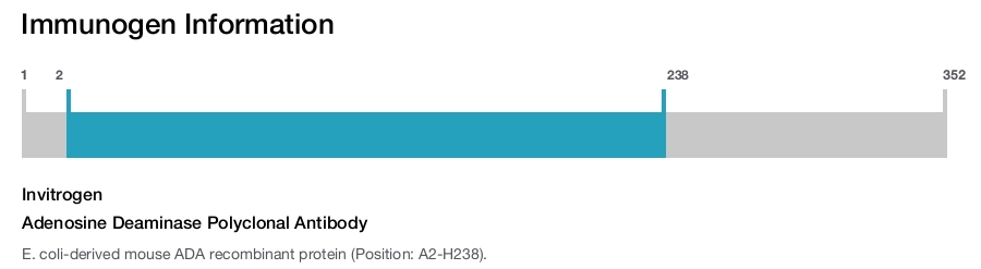 Adenosine Deaminase Polyclonal Antibody
