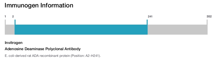 Adenosine Deaminase Polyclonal Antibody