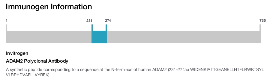 ADAM2 Polyclonal Antibody