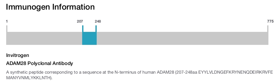 ADAM28 Polyclonal Antibody