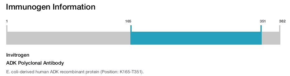 ADK Polyclonal Antibody