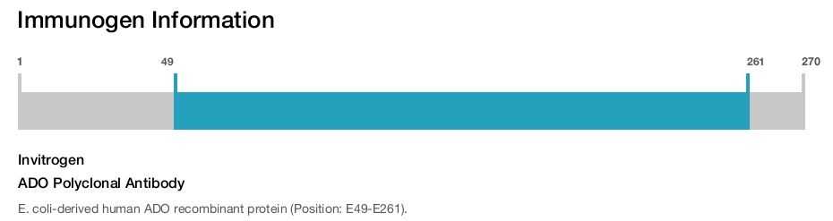 ADO Polyclonal Antibody