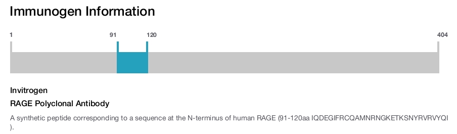 RAGE Polyclonal Antibody