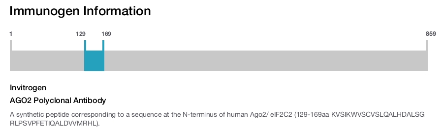 AGO2 Polyclonal Antibody