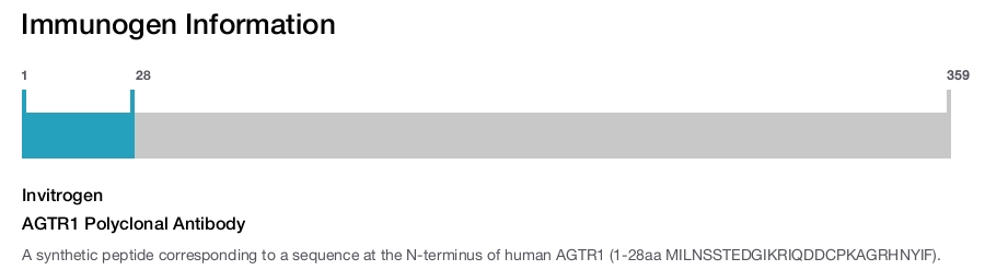 AGTR1 Polyclonal Antibody