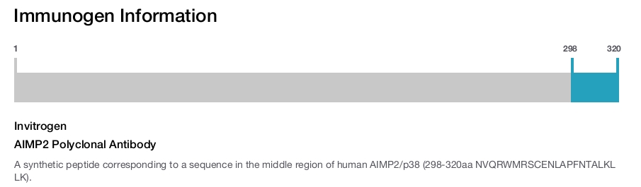 AIMP2 Polyclonal Antibody