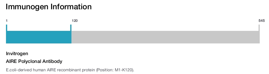 AIRE Polyclonal Antibody