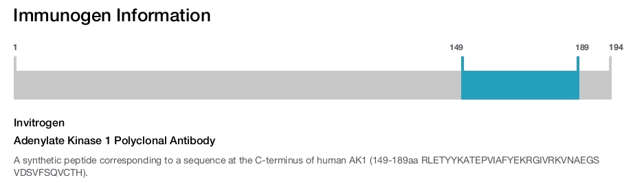 Adenylate Kinase 1 Polyclonal Antibody