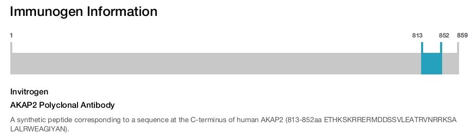 AKAP2 Polyclonal Antibody