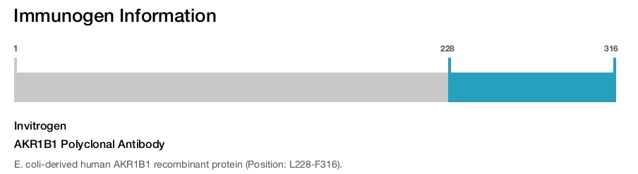 AKR1B1 Polyclonal Antibody