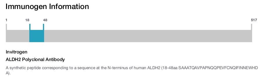 ALDH2 Polyclonal Antibody