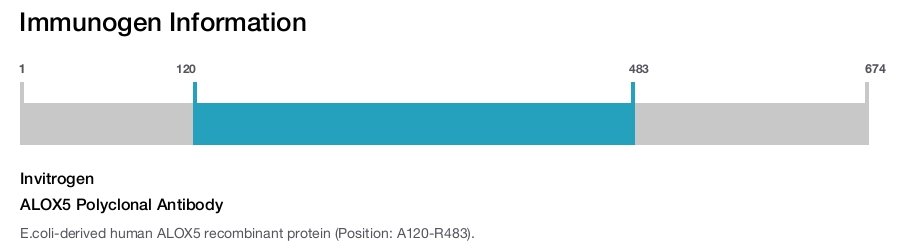 ALOX5 Polyclonal Antibody