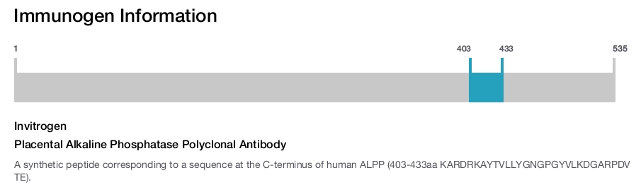 Placental Alkaline Phosphatase Polyclonal Antibody