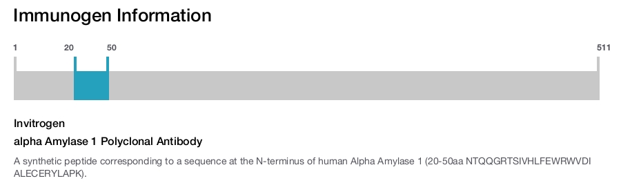 alpha Amylase 1 Polyclonal Antibody