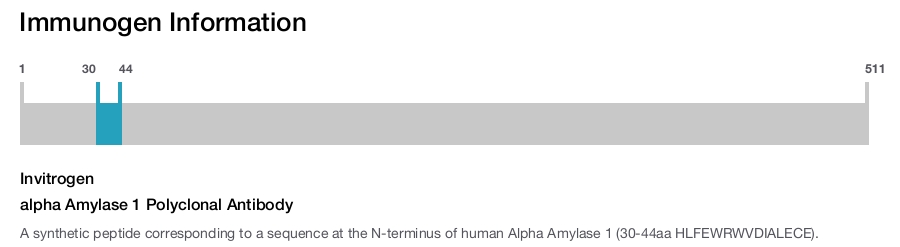 alpha Amylase 1 Polyclonal Antibody