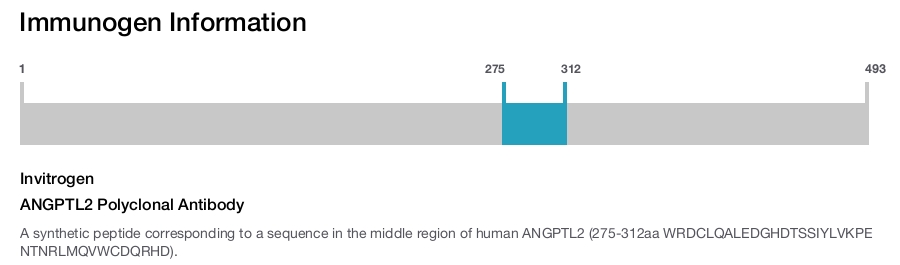 ANGPTL2 Polyclonal Antibody